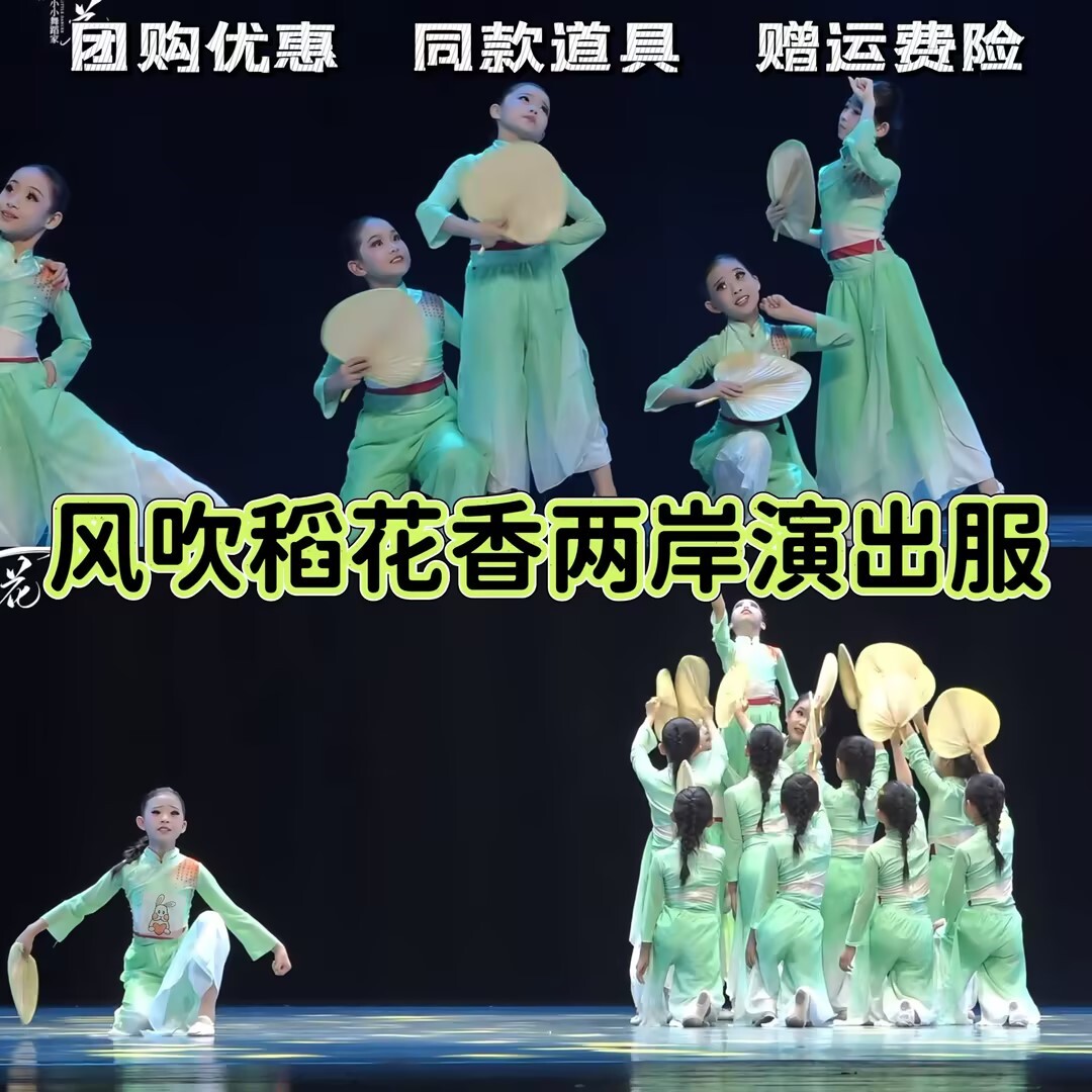 风吹稻花香两岸演出服心尖尖琵琶行小城谣儿童古典舞蹈服练功服装