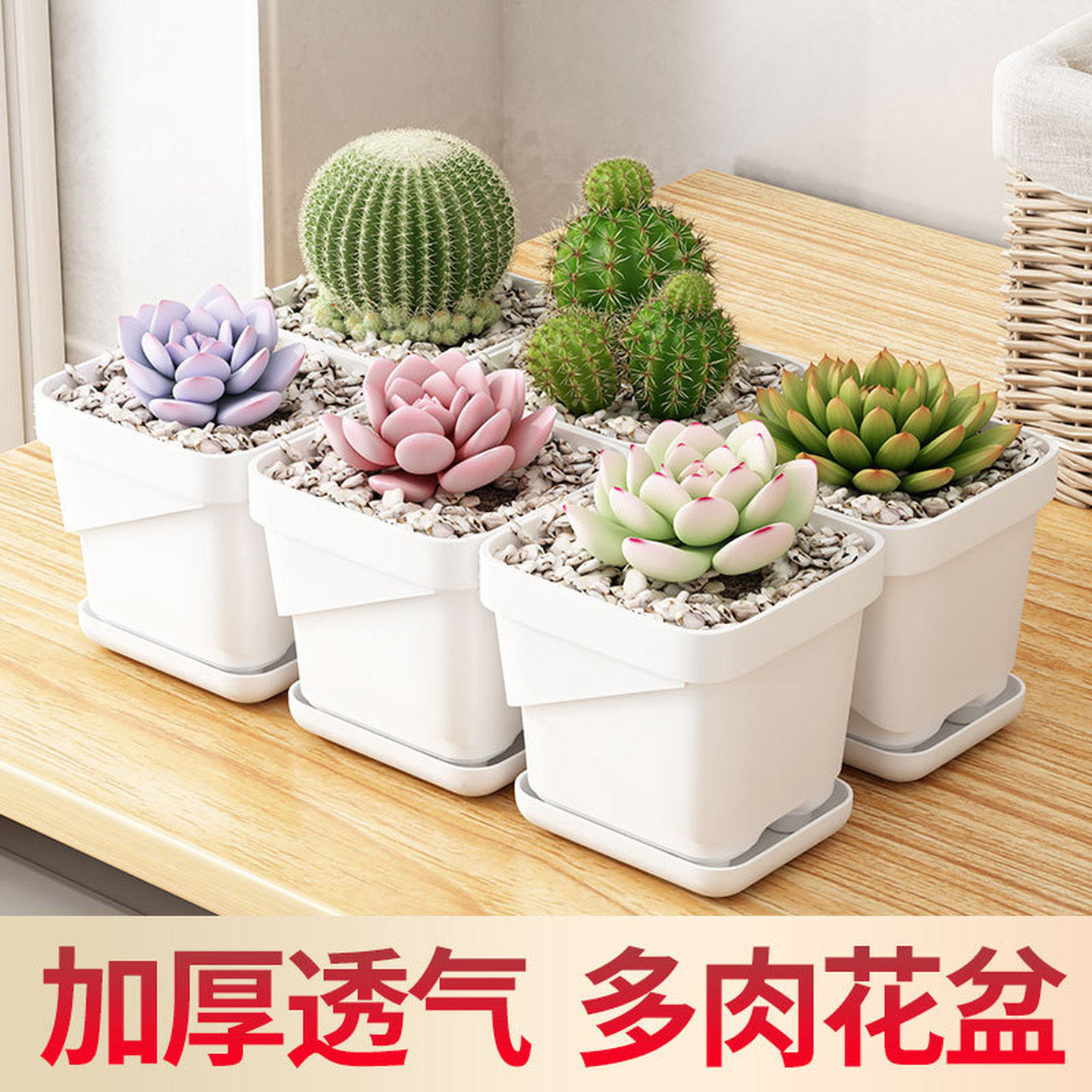 养多肉花盆透气塑料方盆栽猫专用托盘阳台窗台种植大口径小方猫草