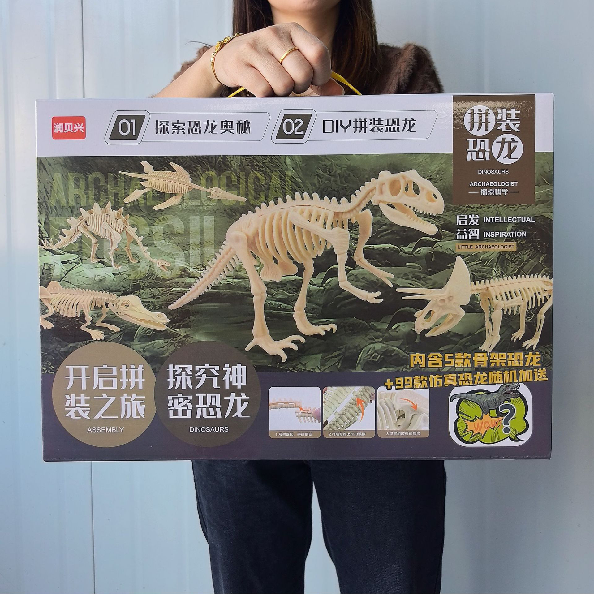 恐龙化石骨架模型儿童益智拼装霸王龙考古挖掘玩具套装幼儿园礼品