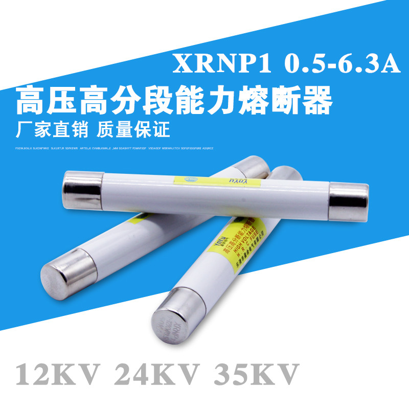 高压高分段能力限流熔断器XRNP1-12/0.5A10 24KV 35KV 6.3A保险管