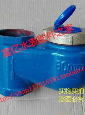 数字冷水表 内丝立式冷水表 旋翼式内螺纹立式水表DN50 65 80 100