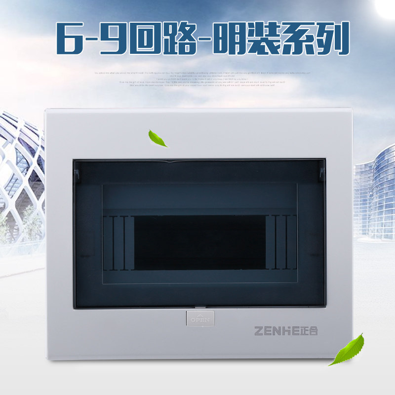 强电入户布线箱明装铁底塑面6-9回路空开盒子PZ30室内家用配电