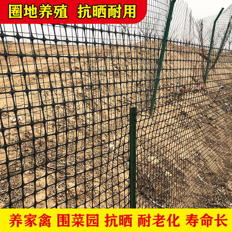 塑料围网养殖防护拦鸡鸭胶网家用菜园玉米护栏栅栏户外养鸡围栏网