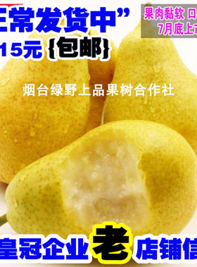 太婆梨树苗香软茄子蕉葫芦大