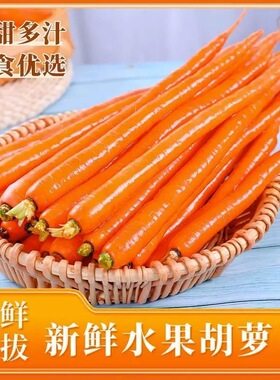 帝王系水果胡萝卜生吃萝卜新鲜脆甜手指胡萝卜散装枝纯蔬菜