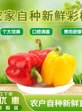 新鲜五彩椒笼椒山东红黄绿甜椒圆椒高VC水果椒太空椒单果150g起