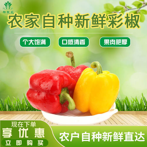 新鲜五彩椒山东红黄vc水果太空