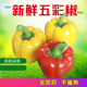 山东红黄绿彩椒甜椒五彩灯笼椒水果辣椒菜椒生吃高维C单果50g起