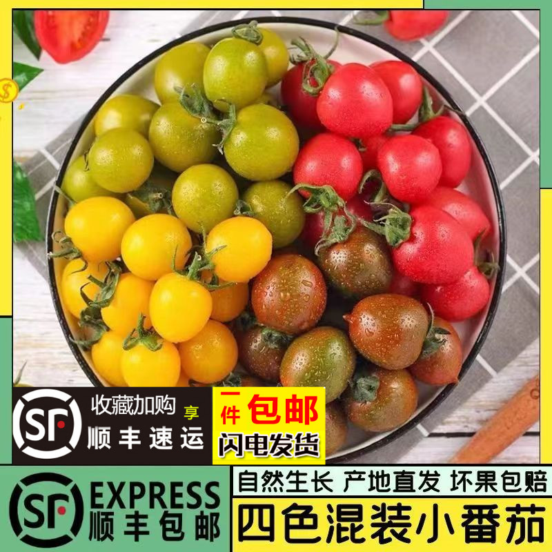 新鲜圣女果迷彩阳光黄色贝贝千禧