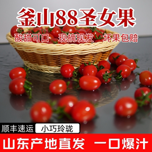 顺丰 新鲜釜山88玲珑小番茄现摘圣女小西红柿产地直发孕妇水果