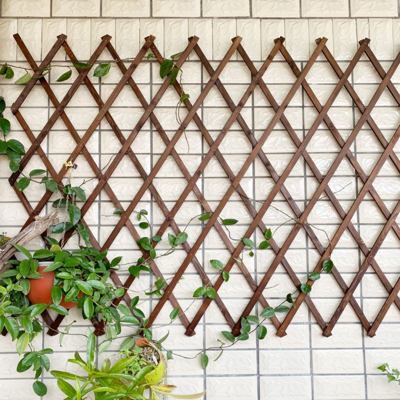 墙面装饰网格花架户外防腐木栅栏伸缩实木篱笆爬藤架花园围栏护栏