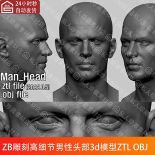 ZBrush欧美男性头部头像肖像雕刻3d模型ztl带UV皮肤纹理ZB高模obj