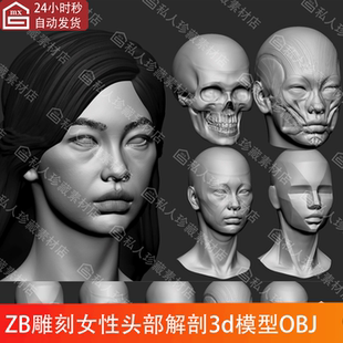 ZBrush女性头部头像解剖肌肉雕刻3d模型OBJ女士头五官ZB雕刻高模