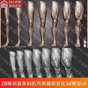 ZBrush雕刻苗条瘦到肌肉男腿部足部3d模型STL可3d打印高模ztl细分