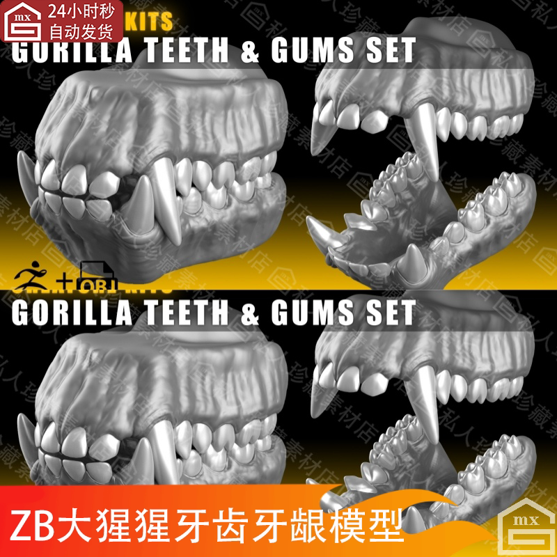 zbrush动物大猩猩口腔牙齿牙龈雕刻3D模型ztl细分obj可3d打印高模