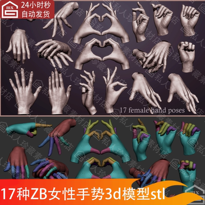 zbrush女性手部手掌姿势握手势3d模型obj手雕刻三维模型ztl可打印