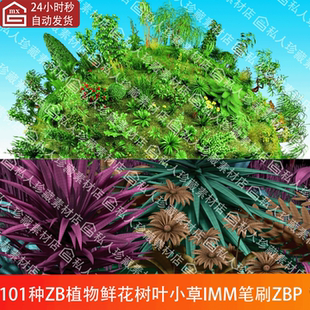 zbrush植物草丛树苗叶子水草IMM笔刷ZBP花朵树叶麦子蕨类3d模型