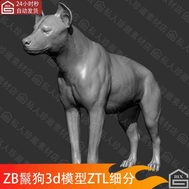 zbrush野生动物鬣狗ztl细分3d模型高精度可打印白模高模图纸stl
