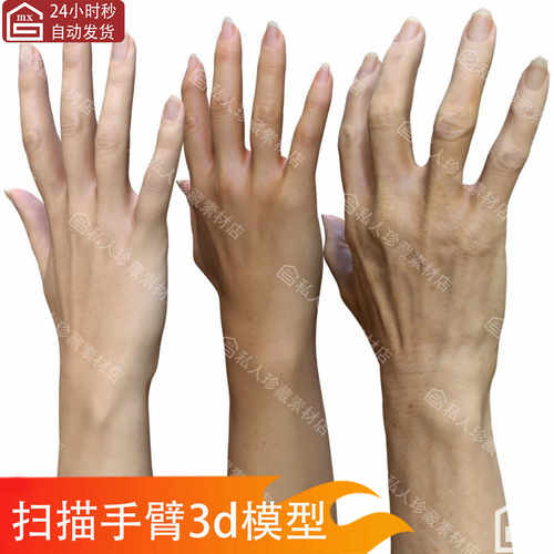 zbrush扫描白人女人20岁40岁60岁手臂手部3D模型ZTL纹理贴图高模