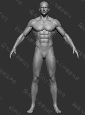 zbrush男性角色带细分基础3d模型高模全身素模游戏CG模型stl obj