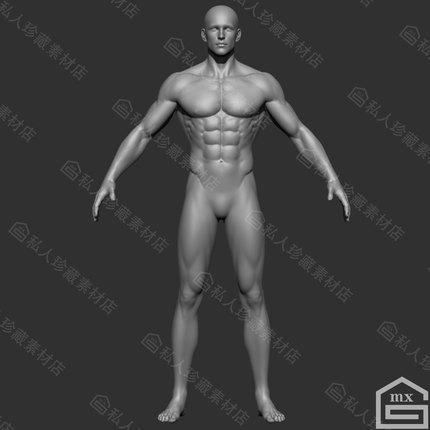 zbrush男性角色带细分基础3d模型高模全身素模游戏CG模型stl obj