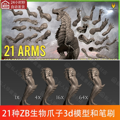 zbrush飞龙野兽爪子手臂腿部3d模型ztl 爬行生物恐龙手部zb笔刷