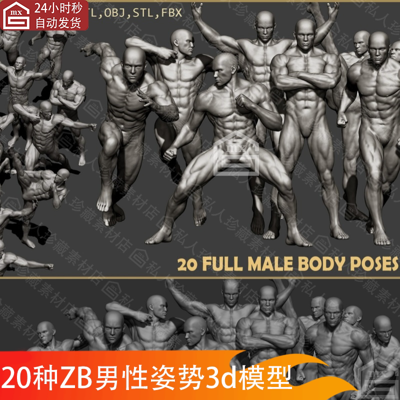 20款zbrush男性肌肉躯干身体肌肉全身运动姿势雕刻人体角色3D模型