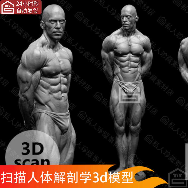 zbrush扫描人体男性肌肉解剖学雕刻雕塑人物角色全身姿势3d模型