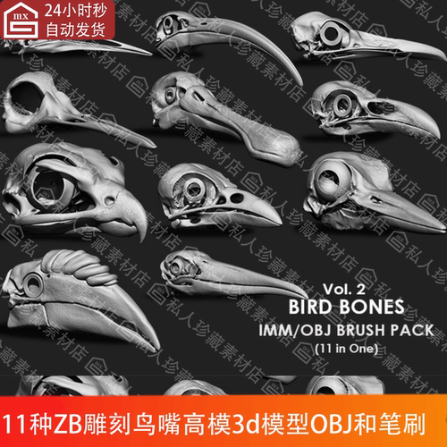 11种ZBrush鸟类鸟嘴头颅头部骨高模3d模型OBJ和鸟头骨IMM笔刷zbp