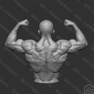 zbrush肌肉男3D打印模型obj健美运动员人体壮汉半身3d模型ztl细分
