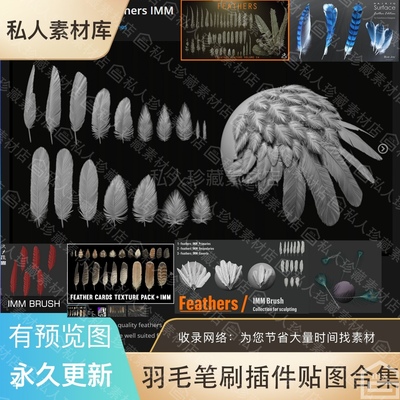 ZB翅膀羽毛PBR纹理贴图鸟类孔雀毛发zbrush笔刷3D模型素材