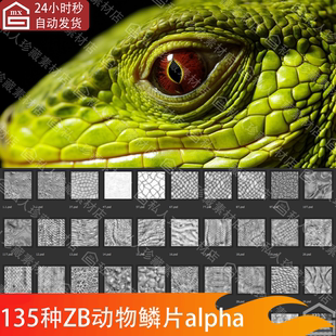 zbrush爬行动物龙蜥蜴皮肤鳞片alpha笔刷科幻鳞甲置换贴图纹理PSD