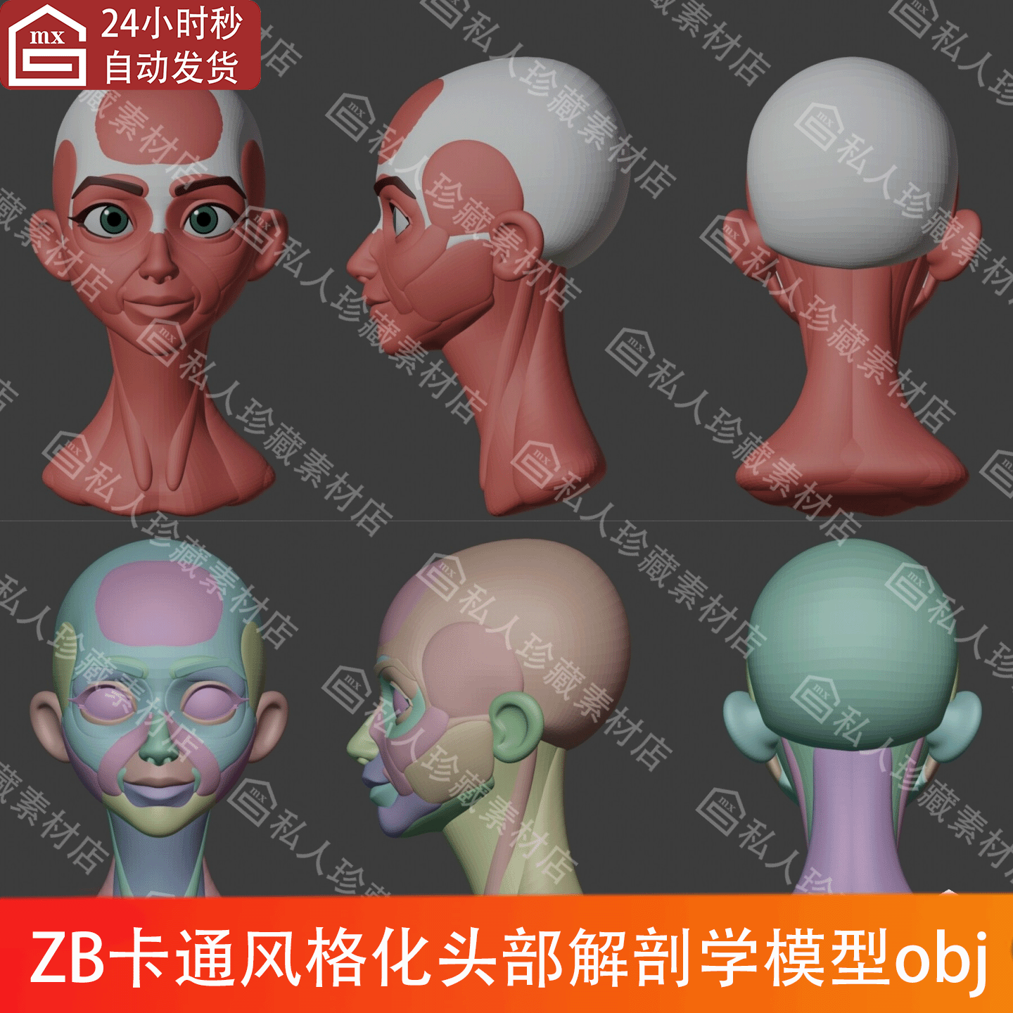zbrush风格化头部脸部肌肉解剖学3d模型obj卡通人头颅骨颈部模型