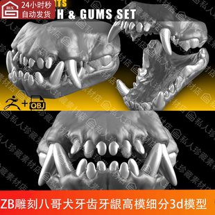 zbrush动物八哥犬狗牙齿牙龈雕刻3d模型ztl上下颚牙高模obj可打印