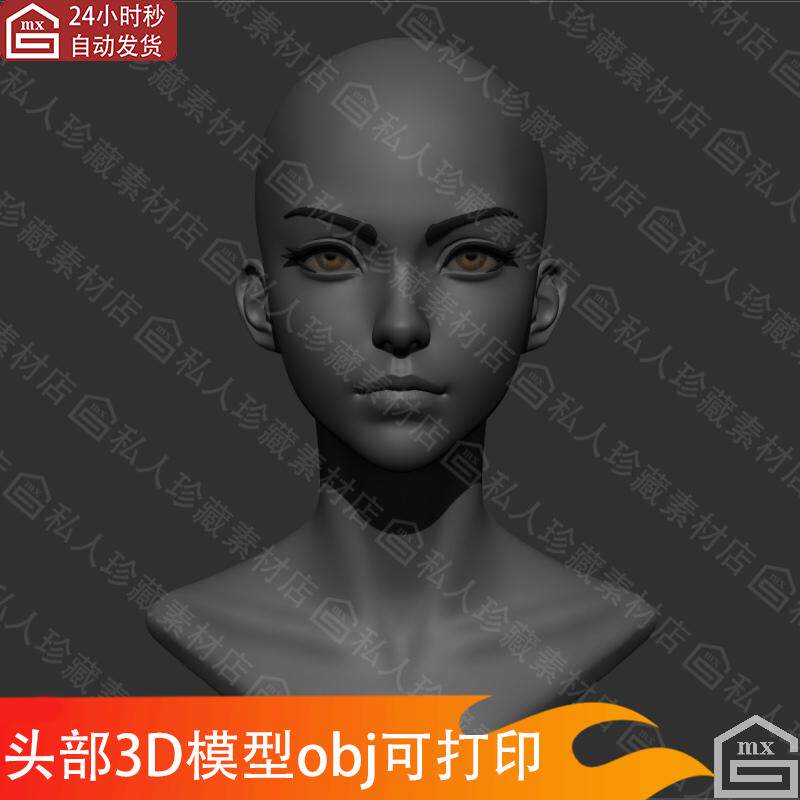 zbrush女性动漫美女头部头像3D模型obj可打印图纸zb雕刻光头高模