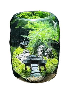 办室盆栽玻璃面瓶造景苔公藓微景观态瓶养鱼创生意缸植BCTL-01物