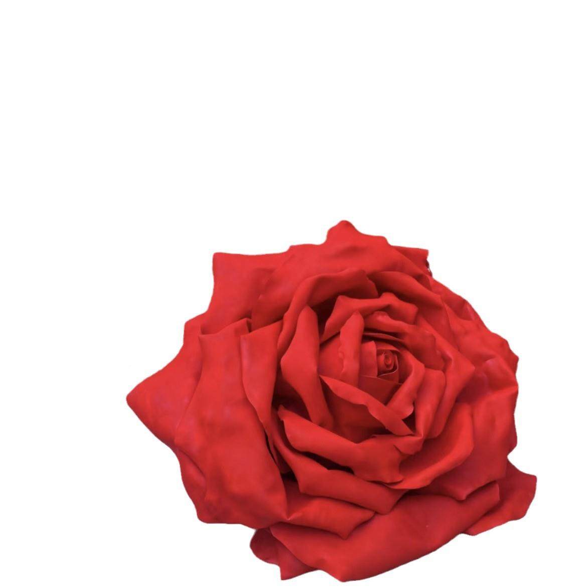 巨型仿真花纸艺玫花EVA一22支商场橱窗摆件外布景户网瑰红爆花款,鲜花速递/花卉仿真/绿植园艺,仿真花,淘宝优惠券,粉丝福利购,淘宝优惠卷