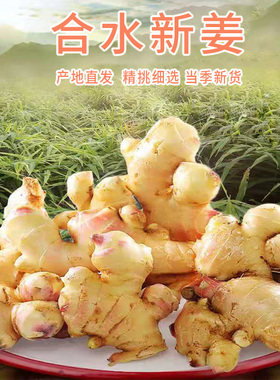 嫩姜生姜高明合水新姜嫩月子姜无渣姜新鲜现挖小黄姜红芽子姜泡菜