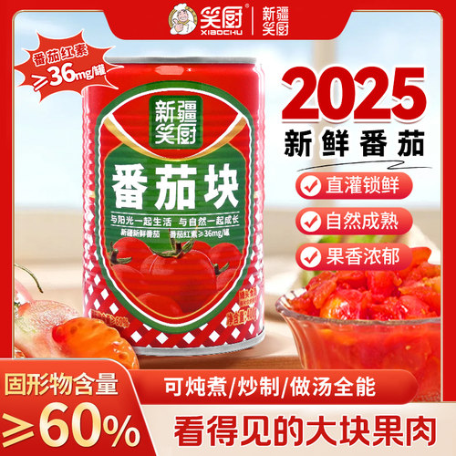 笑厨新疆番茄丁自然成熟自然生长