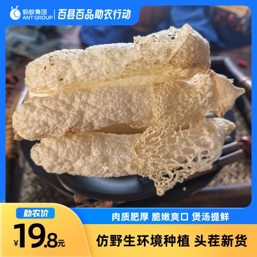 汤滋源贵州织金红托竹荪产地直发
