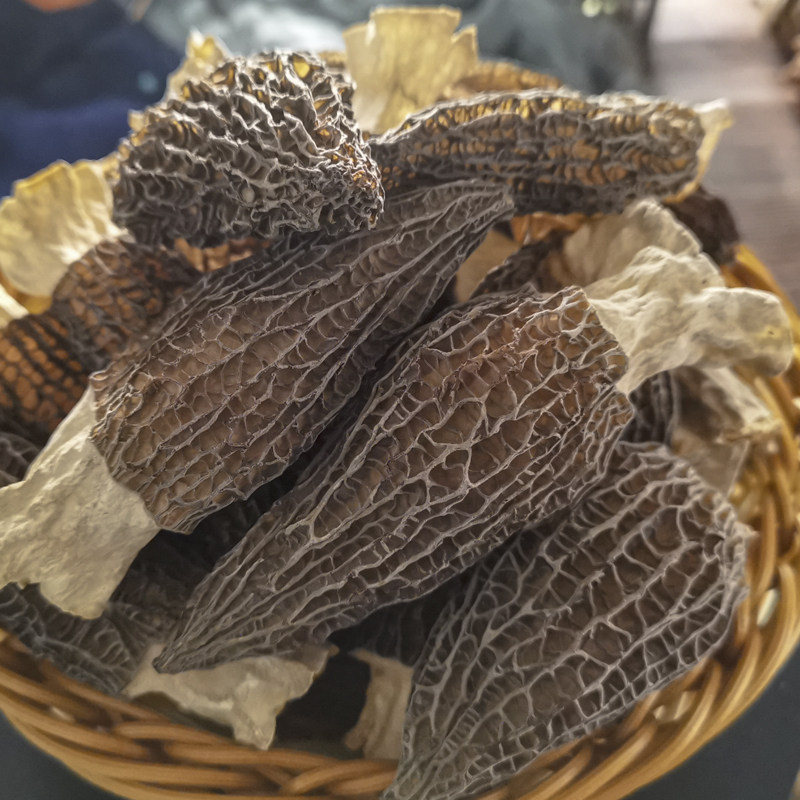 26年贵州头茬羊肚菌干货细纹厚肉剪柄煲汤提鲜食材散装精品菌蘑菇