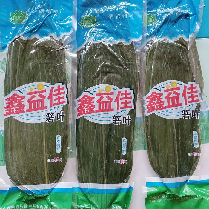 江西新鲜粽叶野生大粽叶竹箬叶新叶100片家用商用大宽叶非芦苇叶