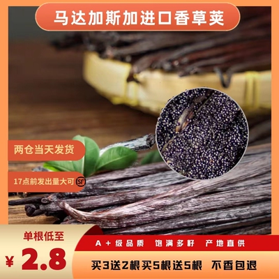 马达加斯加香草荚烘焙香荚兰天然豆荚条香草籽膏食用大溪地香草精