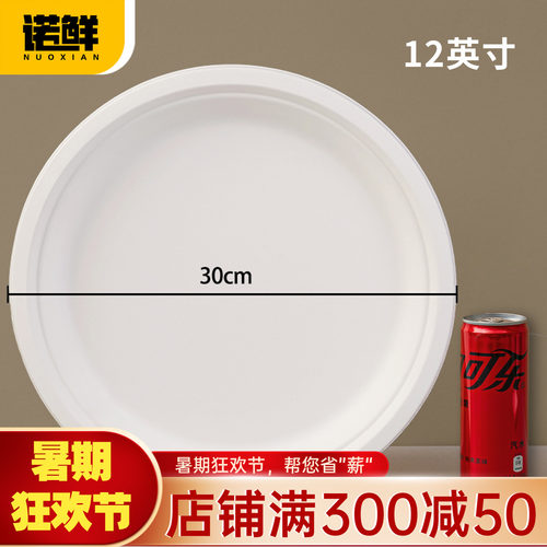 可降解纸盘圆盘餐盘蛋糕盘画画盘