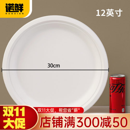 可降解纸盘圆盘餐盘蛋糕盘画画盘