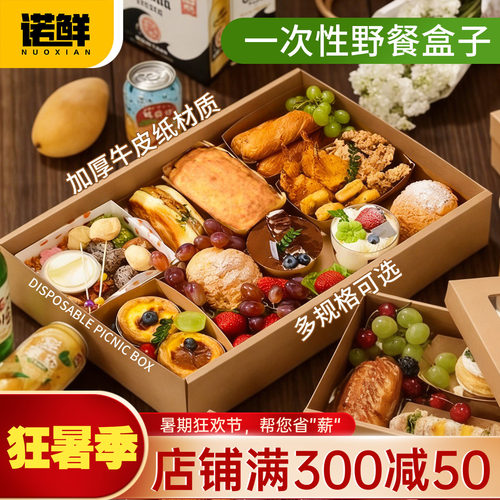 一次性春游打包郊游露营野餐盒子