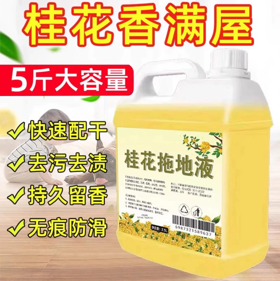 德国拖地专用清洁液持久留香液地板家用清洁剂杀菌清香消花露水
