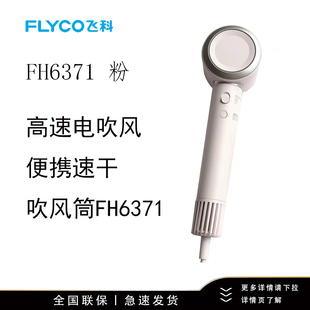 飞科（FLYCO）高速电吹风机礼物送女生低噪家用宿舍便携FH6371
