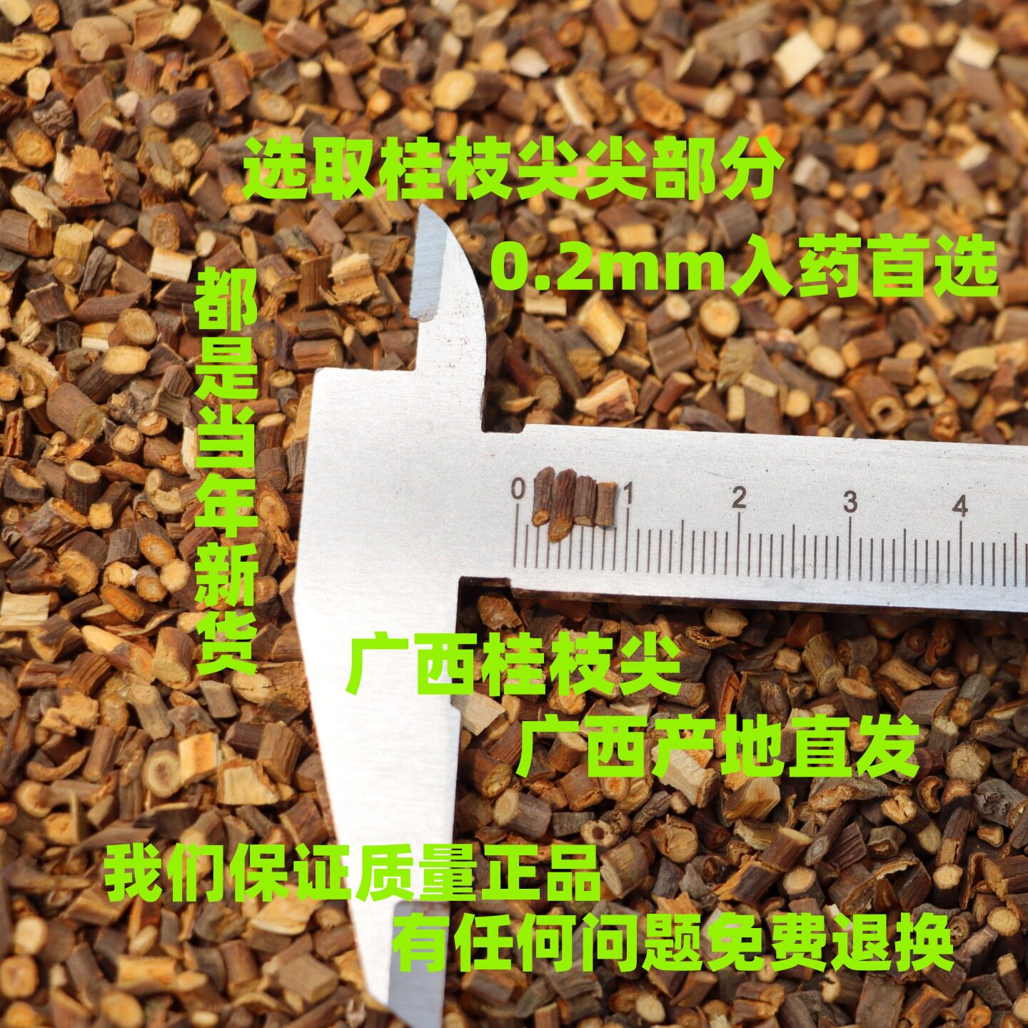 桂枝尖中药材药用野生桂枝汤纯天然精选肉桂嫩枝尖广西产地发货