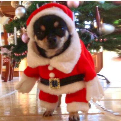 Pet Christmas Clothing Dog Cat Santa Claus Dress Up+Hat set